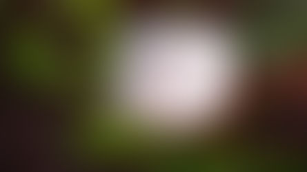 Bild von der Teebeutelweisheit: Zeit, die wir uns nehmen, ist Zeit, die uns etwas gibt.