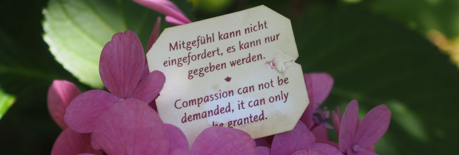 Bild von einem Yogaspruch: Mitgefühl kann nicht eingefordert, es kann nur gegeben werden