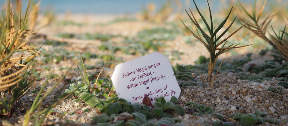 Bild vom Yoga Spruch: Zahme Vögel singen von Freiheit – Wilde Vögel fliegen.