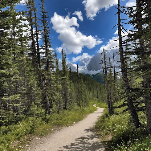 Kananaskis Alberta, trail, bright sky, lots of trees.jpg