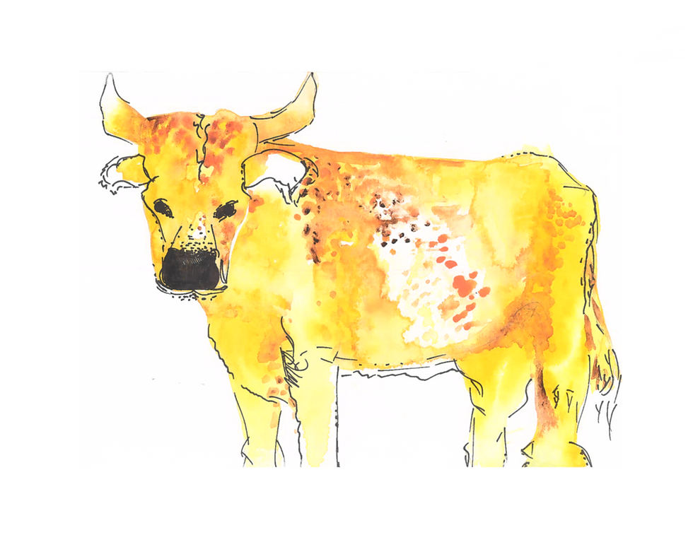 Thumbnail: Bull