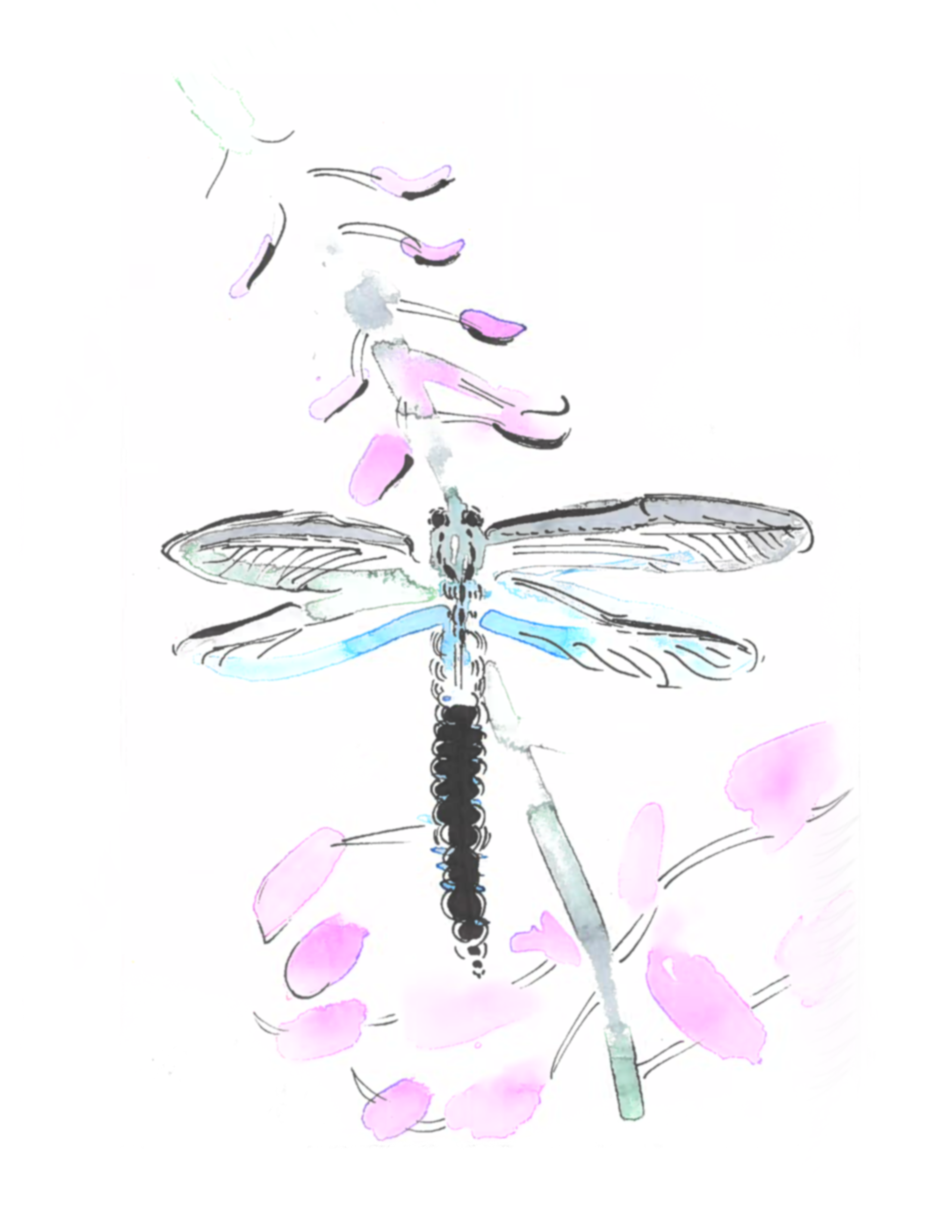 Dragonfly 