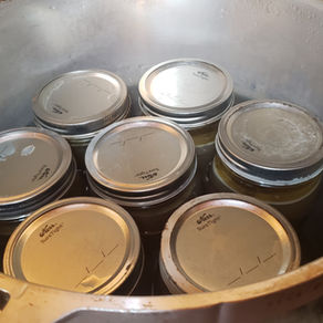 Part 3: Preserving Your Home-Made Stock