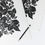 Thumbnail: Wild Strawberries