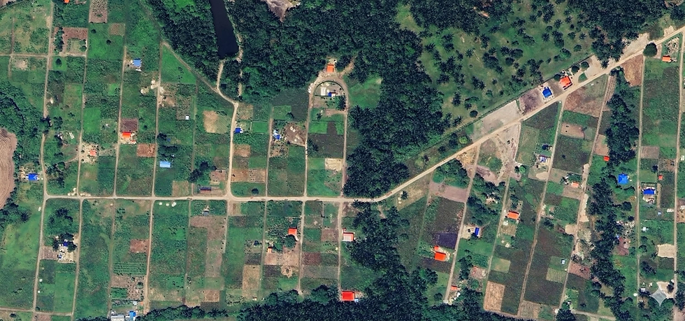 Parcelas de 1.000m² a crédito en Yopal: recibe tu tierra con $2 millones y que se pague sola.