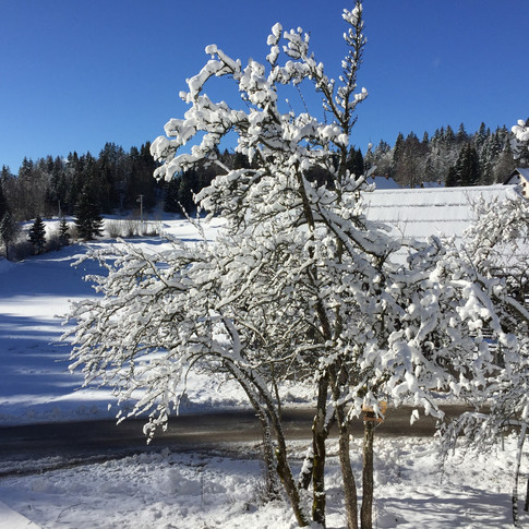 Winter time in Bohinj area