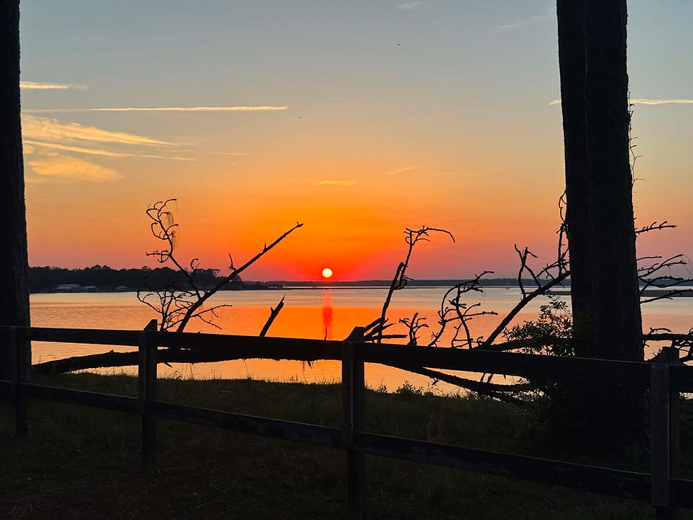 Nightjar Hike at Crooked River State Park