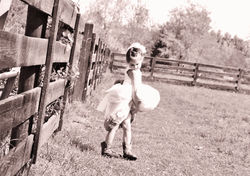 Kircchoff Family 310 - Copy