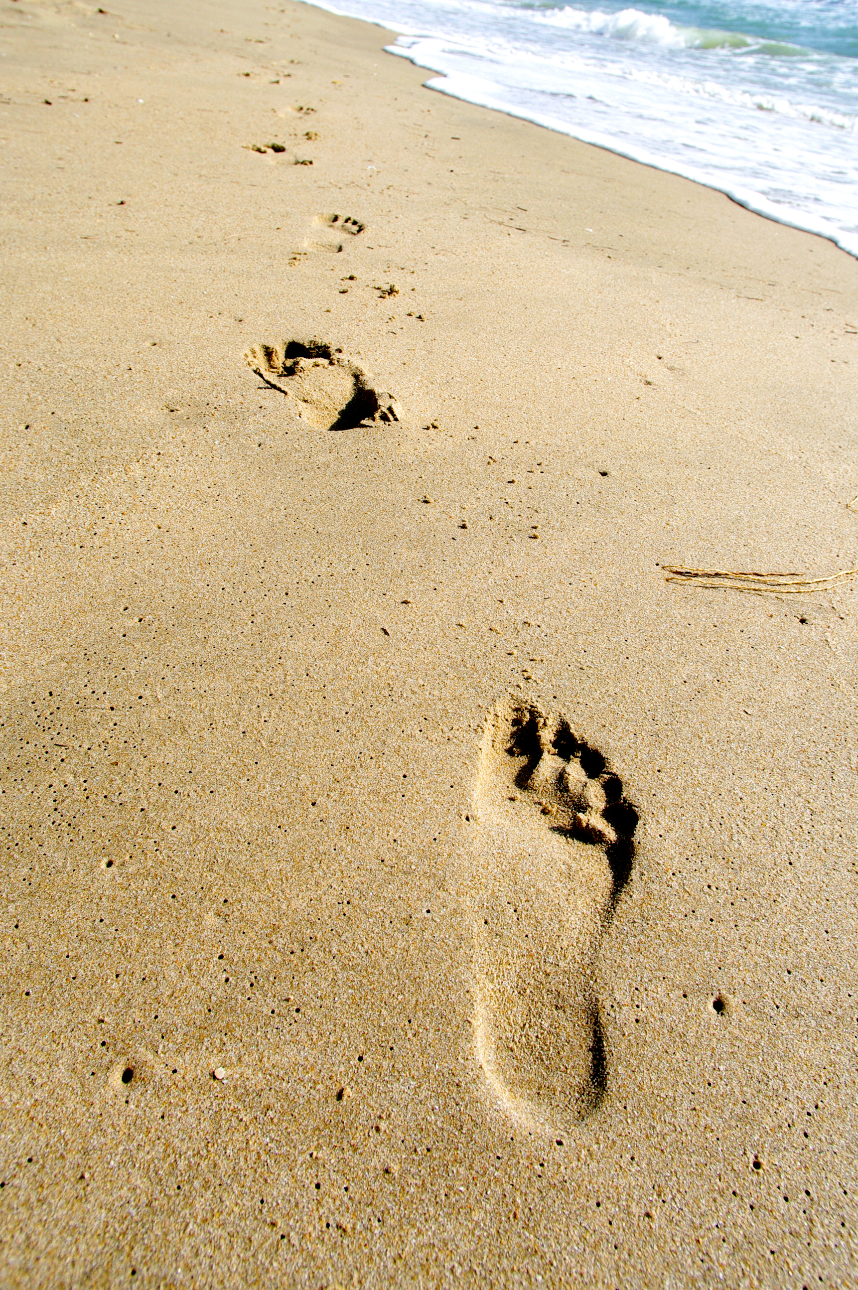 Steps to Success