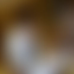 Έχει ελεγχθεί η Ελ. Χρυσός ως προς την εφαρμογή των υγειονομικών πρωτοκόλλων κατά του κορονοϊου;