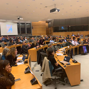 Φτώχεια και ύφεση σε όλες τις περιοχές των Βαλκανίων, όπου γίνονται εξορύξεις χρυσού. 
