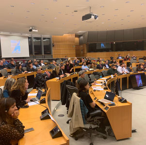 Φτώχεια και ύφεση σε όλες τις περιοχές των Βαλκανίων, όπου γίνονται εξορύξεις χρυσού. 
