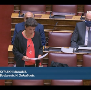 Υφυπουργός για ακαρπία ελιάς : ποιος φάκελος; ποια αποζημίωση; 