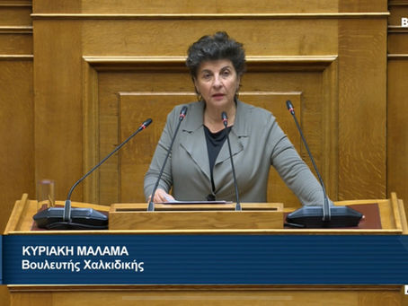 Αγορά αυταπάτης με γυαλιστερό περιτύλιγμα τα ιδιωτικά ιδρύματα της κυβέρνησης 	