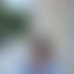 Κοινοβουλευτική ερώτηση για την αποκατάσταση του μνημείου του Καπετάν Χάψα. 