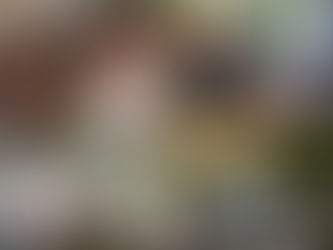 Ο πρωτογενής τομέας της Χαλκιδικής μπορεί να μεταβληθεί σε πρωτοπόρο βιώσιμης ανάπτυξης.