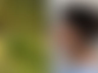 Να σταματήσει η κυβερνητική κοροϊδία των καθυστερήσεων απέναντι στους παραγωγούς ελιάς της Χαλκιδική