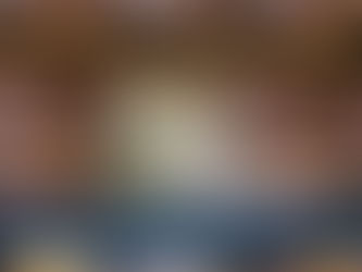 Ευθύνες στην αντιπεριφέρεια Χαλκιδικής απέδωσε ο Υπ. Αγροτικής Ανάπτυξης για τους ελατοπαραγωγούς.