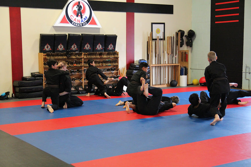 Eye-level view of a karate dojo training area with mats and equipment