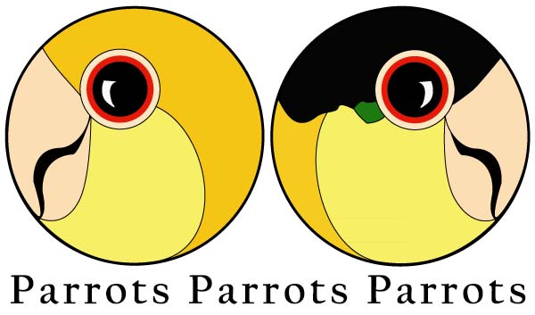 Parrots Parrots Parrots Aviary logo