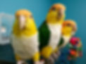 20150217_210309.jpg