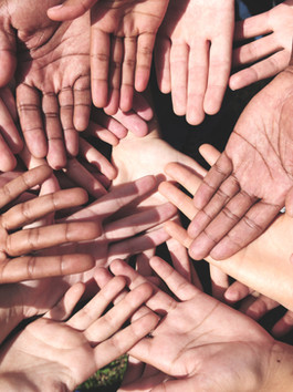What if Schools Were Community Service Hubs? (162/365)