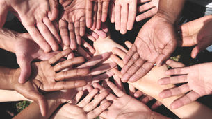 COMMUNITY SERVICE COMMITTEE: A SUMMARY OF OUR PROGRESS SO FAR