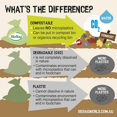 Sustainable1 (1).png