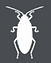 roach 1.png