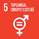 UNDP sürdürülebilir 2.png