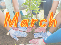 March Newsletter