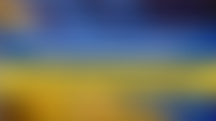 Kandidatinnen und Kandidaten aller Gruppierungen, Tragen Sie die Sache der Ukraine ins Europäische Parlament!