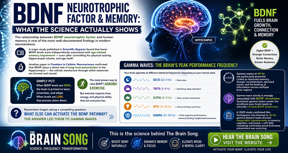 BDNF Brain: How to Naturally Boost Your BDNF Levels in Just 17 Minutes a Day