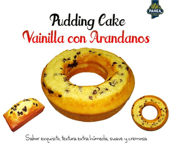Panque_vainilla_con_arándanos