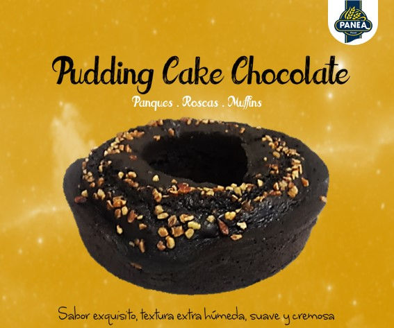 Panque Chocolate