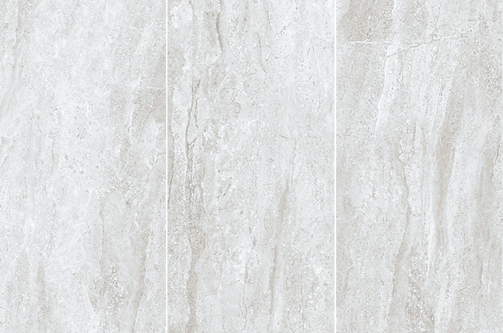 Miniatura: DAINO GRIS