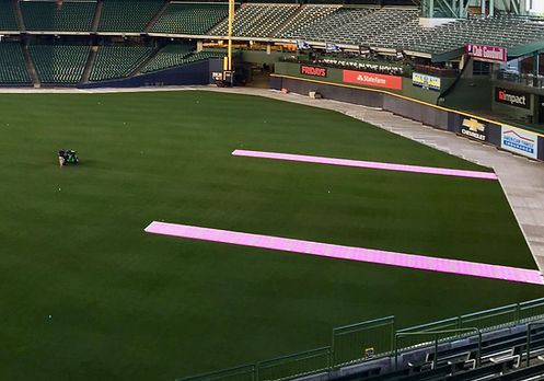 Turf Protection.jpeg