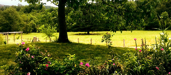 unnamed (5)_edited.jpg