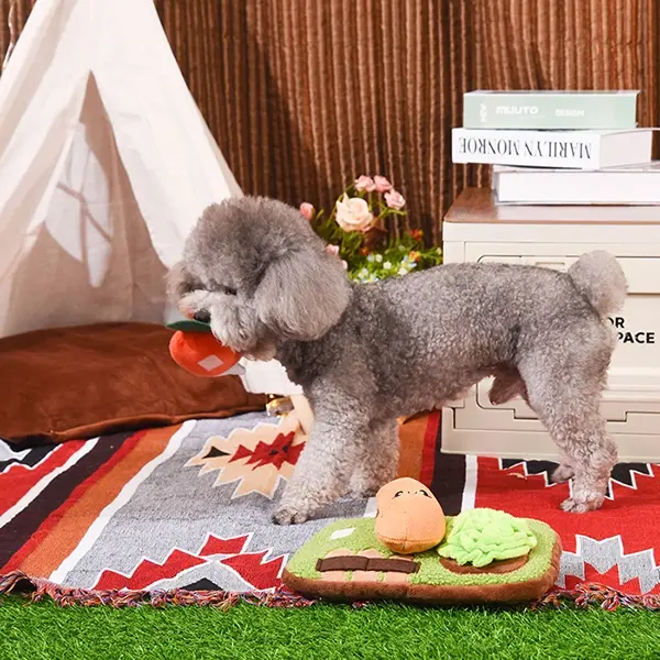 Miniaturbild: Garten Schnüffelteppich | Hug Smart Hundespielzeug