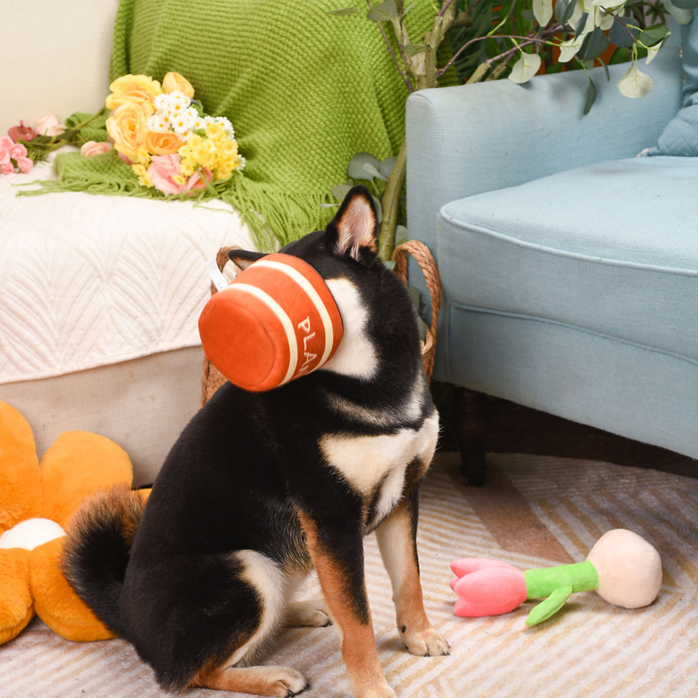 Miniaturbild: Blumentopf Tulpen | Hug Smart Hundespielzeug