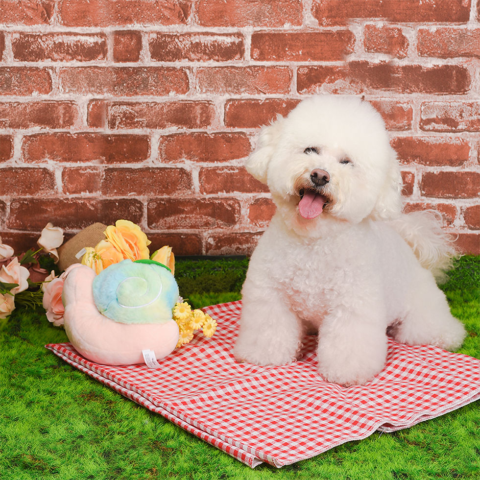 Miniaturbild: Schnecke | Hug Smart Hundespielzeug