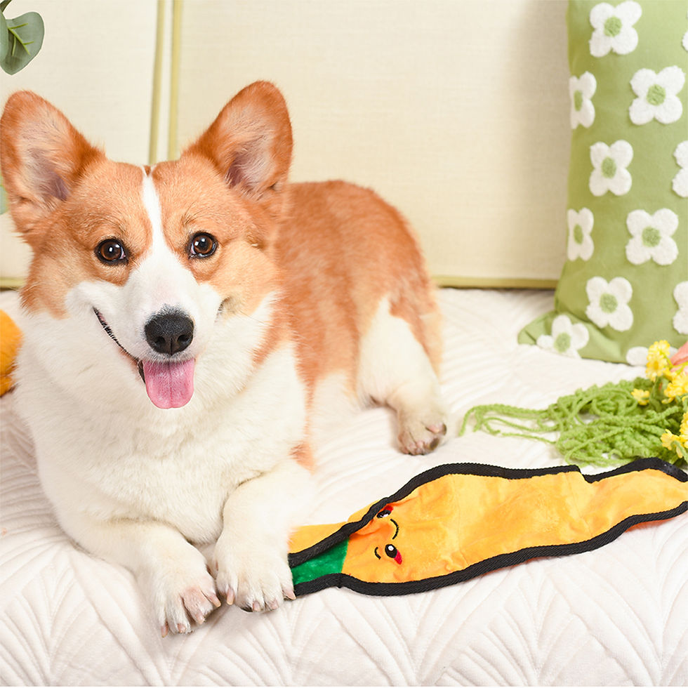 Miniaturbild: Squeakin' Vegetables - Karotte | Hug Smart Hundespielzeug