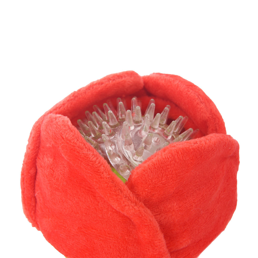 Miniaturbild: Woof Rose | Hug Smart Hundespielzeug