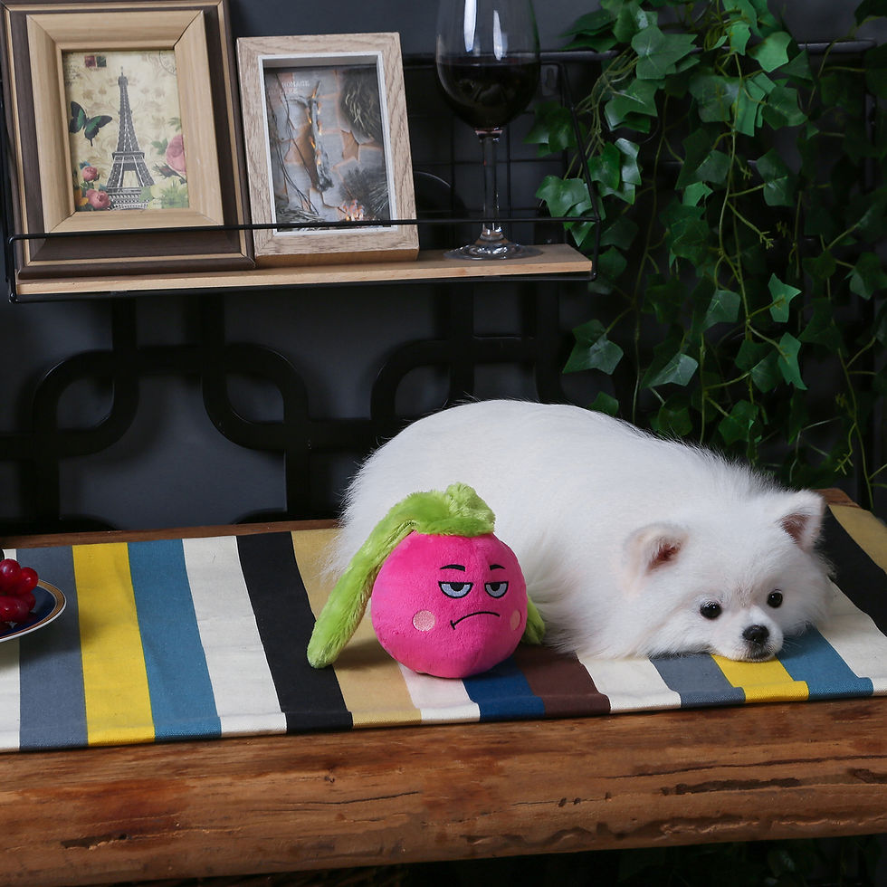 Miniaturbild: Veggie Rettich | Hug Smart Hundespielzeug