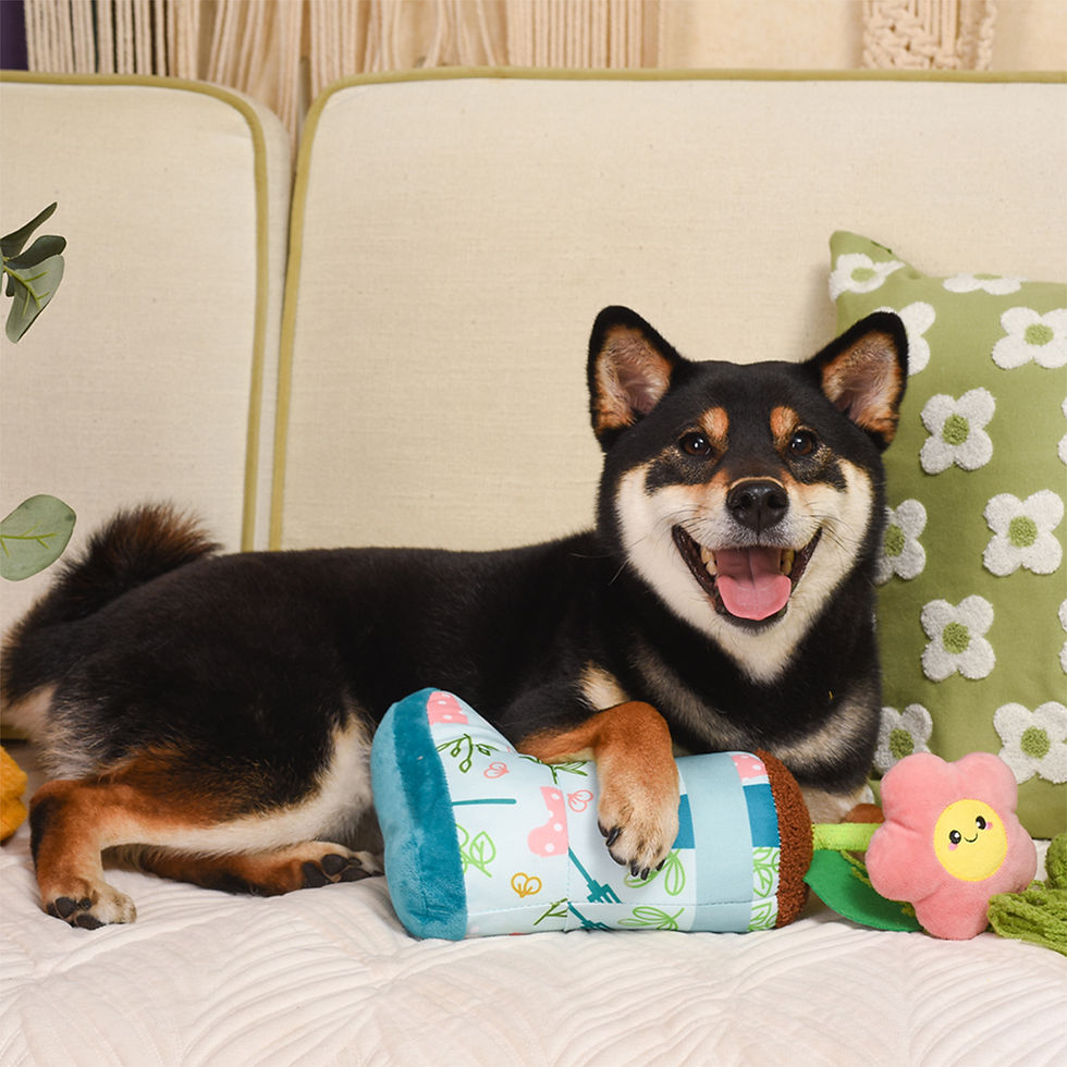 Miniaturbild: Regenstiefel | Hug Smart Hundespielzeug