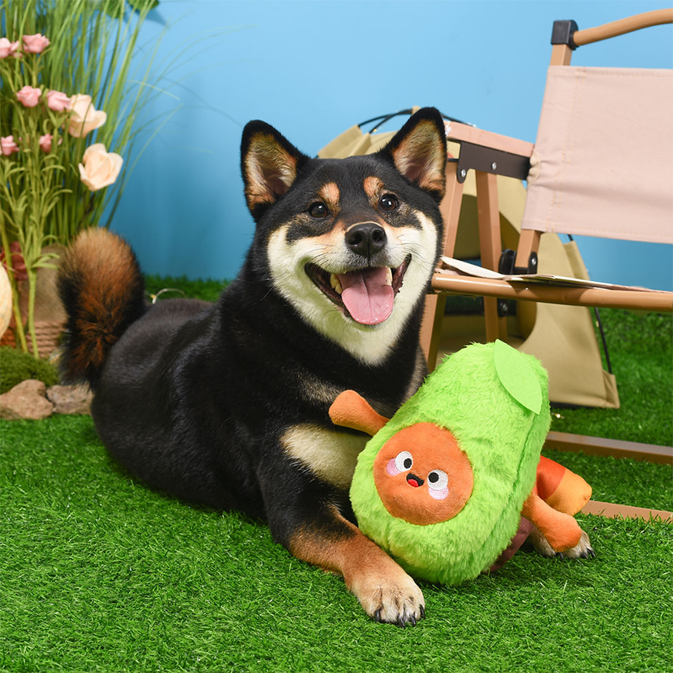 Miniaturbild: Turkey Avocado | Hug Smart Hundespielzeug