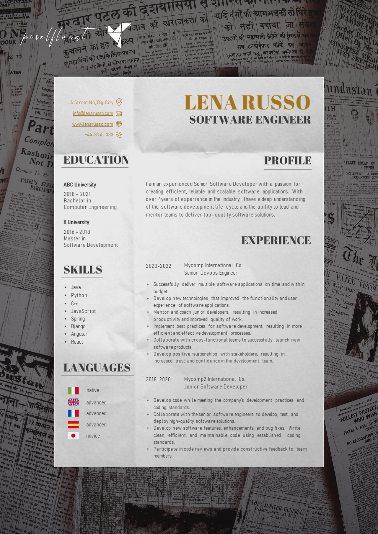 Software Engineer CV template