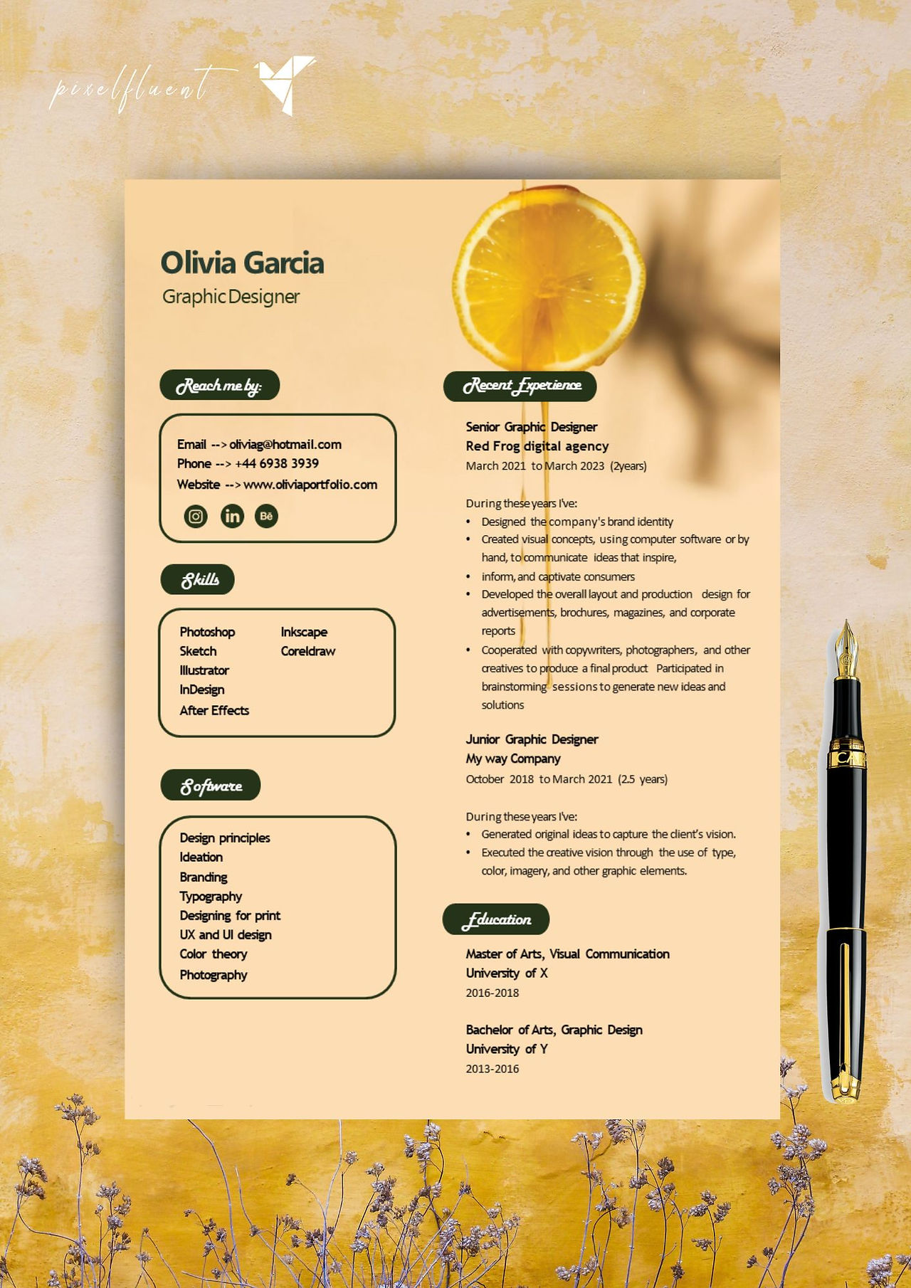 Graphics Designer CV template