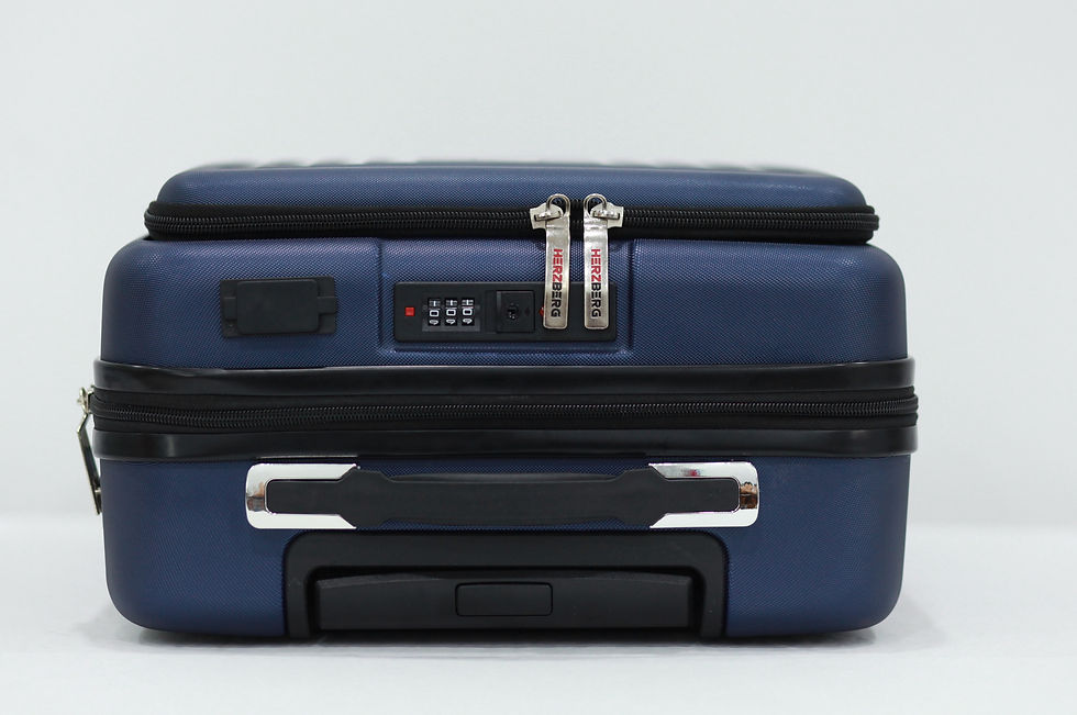 Miniature : Sac Cabine Bleu Herzberg Travel