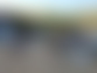 技能実習生 試験日